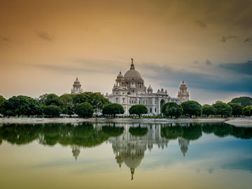 11. Rooster - 2 - Kolkata