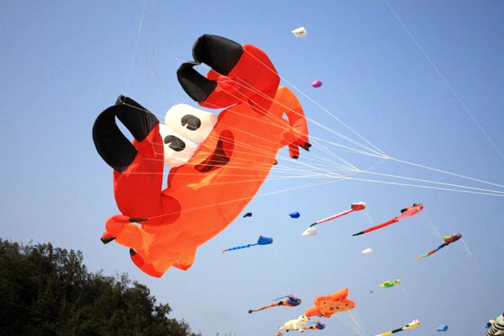 Kite-Festival-01