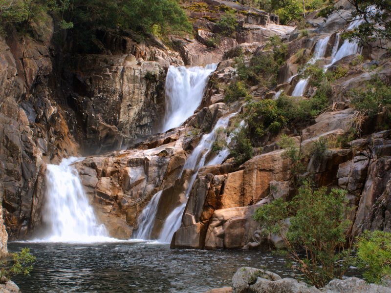 2. Wooroonooran National Park Cassowary Coast