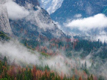 อุทยานแห่งชาติ Yosemite