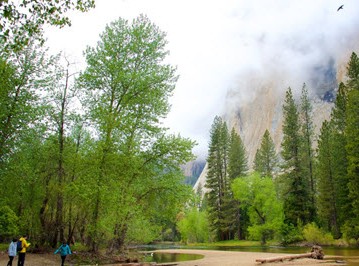 อุทยานแห่งชาติ Yosemite 01