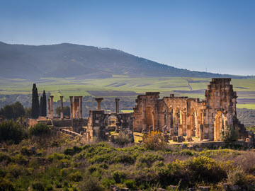 3. Ox - 2 - Morocco