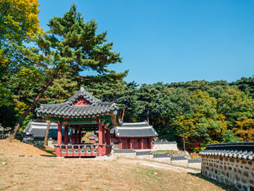 3. Ox - 3 - Gwangju