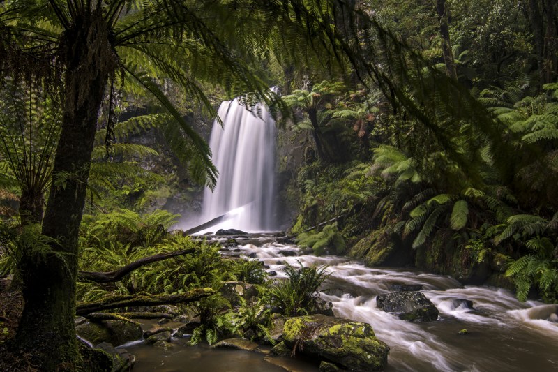 Hopetoun Falls - Otway National Park