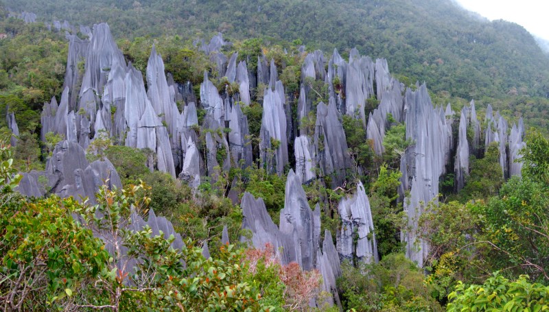 Pinnacles, Gunung Mulu, Borneo, Malaysia