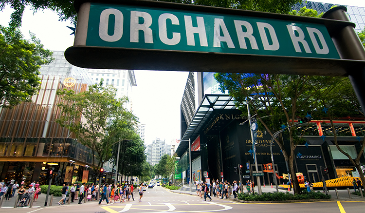 6.Orchard-1.jpg
