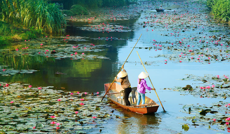 8. Horse - 1 - Hanoi