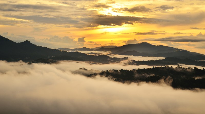 Sunrise over Dipterocarp rain forest in Borneo