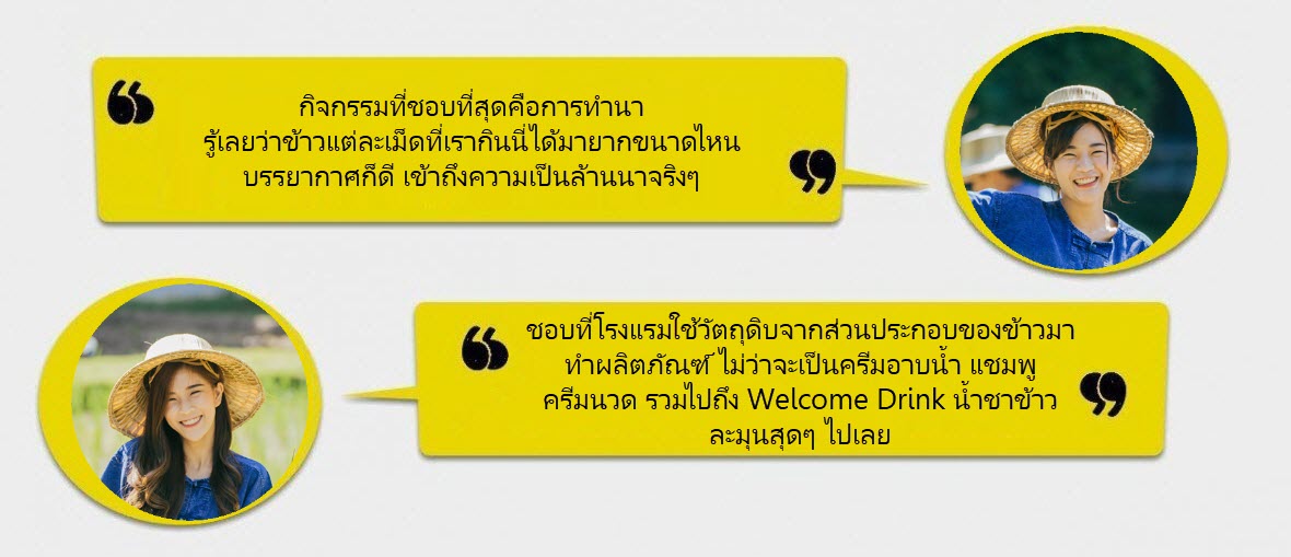 Chiang Mai quotes 3