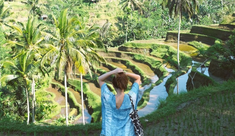 Tegalalng Rice Terrace
