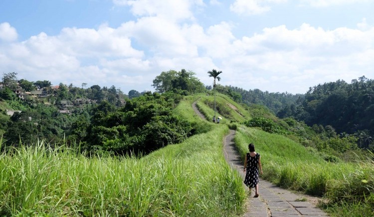 Campuhan Hills Ridge Walk