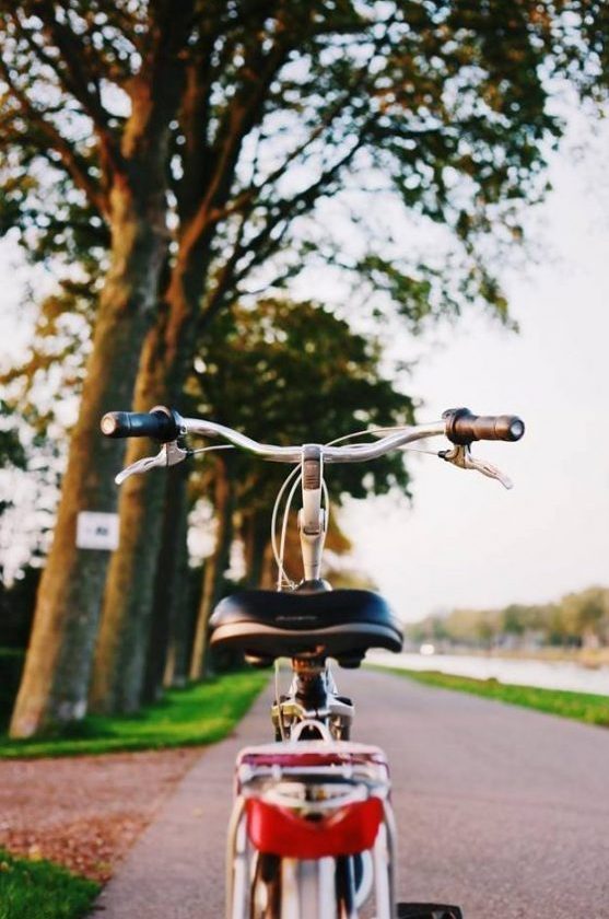 Dream Destination Netherlands Day 4 - Giethoorn - town 3
