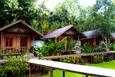 Khao Sok Cabana Resort-2