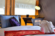 Khaosok Boutique Camps