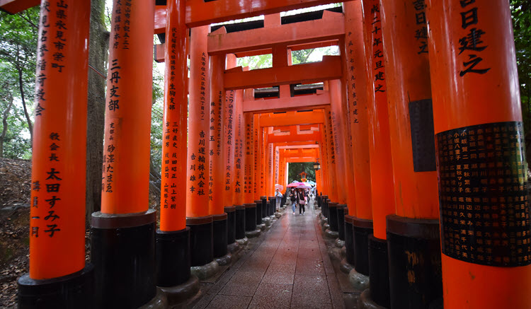 Rhythm of Journey - Kyoto - Fushimi Inari Shrine 1