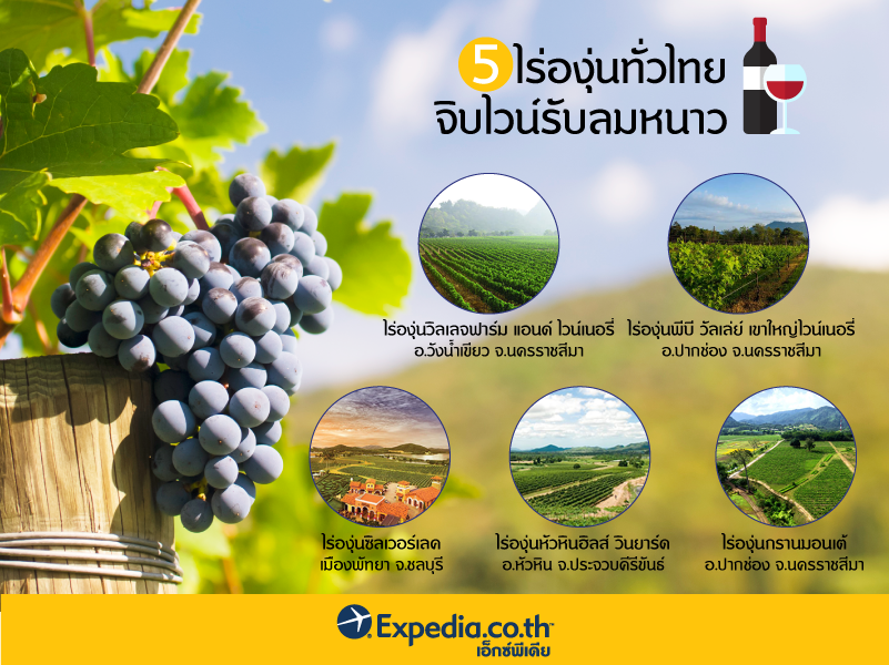 grape-02