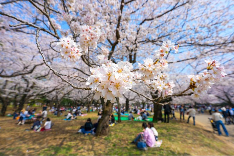 5. Tokyo