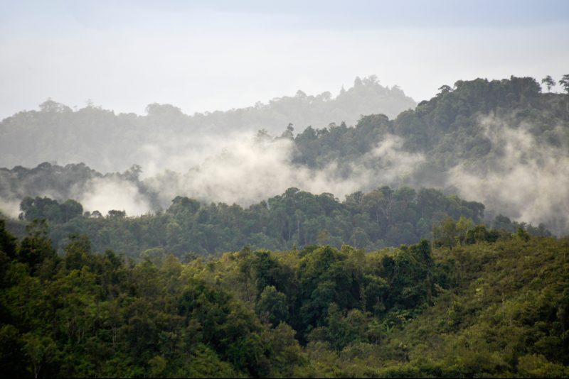 Malaysia - Wild Borneo - Batang Ai