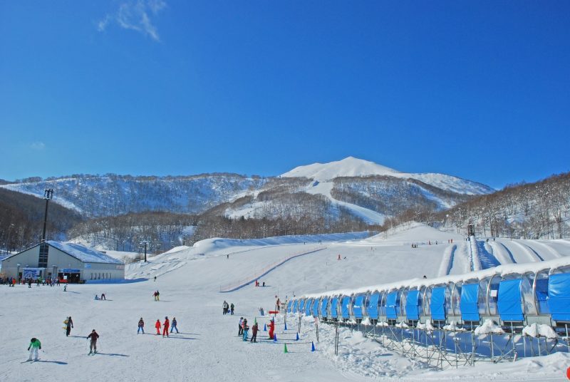 1.1 Niseko