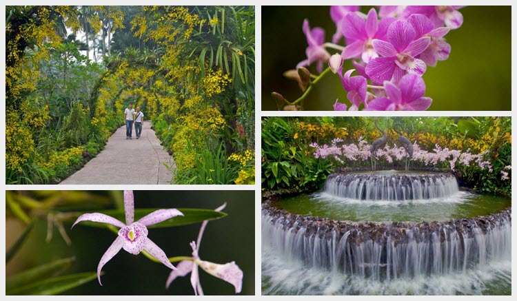 singapore-botanic-gardens