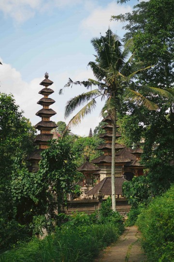 Get loose In Ubud 04