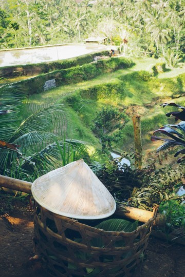 Get loose In Ubud 03