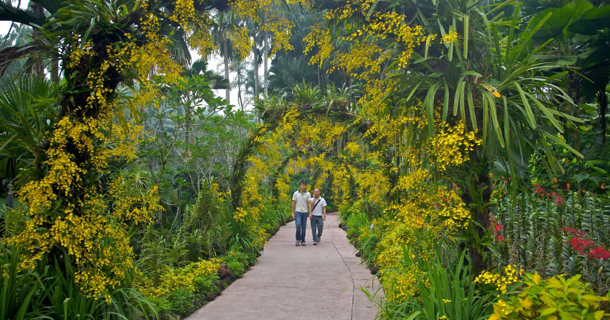 สวนพฤกษชาติสิงคโปร์ (Singapore Botanic Gardens)