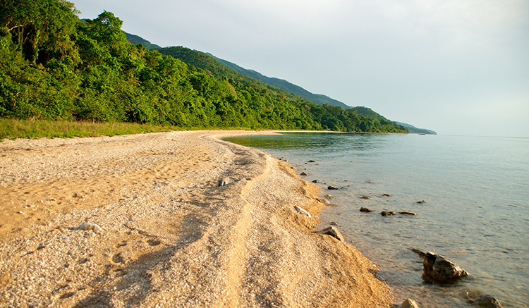 02-Congo-River