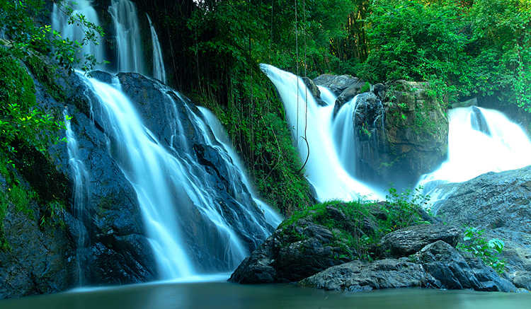 02-เที่ยวธรรมชาติที่อุทยานแห่งชาติถ้ำปลา-น้ำตกผาเสื่อ-01