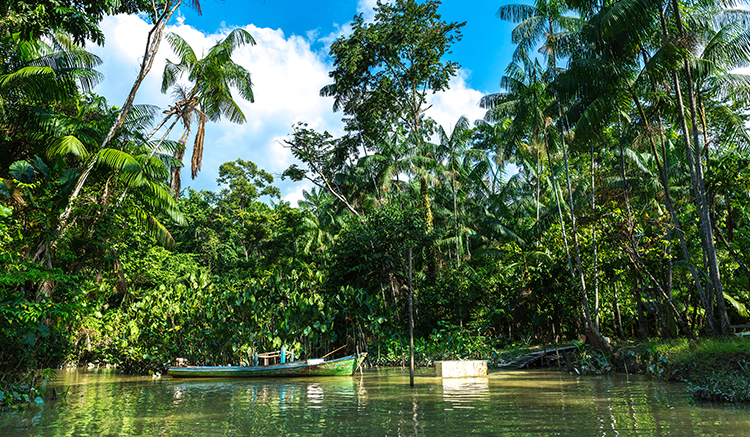 09-Amazon-River-2