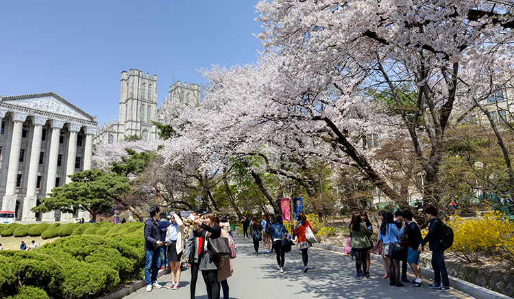 1-Kyunghee-University-2