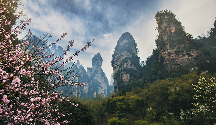 1-Tianzi-Mountain-Nature-Reserve-2