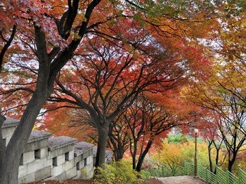 1.-ภูเขาบูกักซาน-Bugaksan-Mountain ใบไม้เปลี่ยนสีเกาหลี