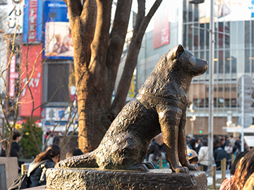 1.-รูปปั้นสุนัขฮาจิโกะ-Hachiko-Statue-02