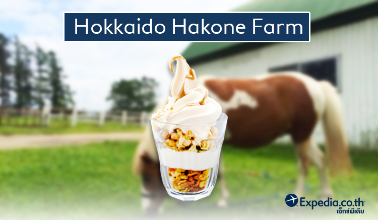 1. ฮอกไกโด ฮาโกเน่ ฟาร์ม (Hokkaido Hakone Farm)
