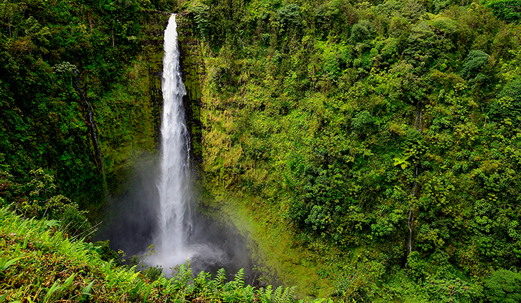 1.Akaka-Waterfall-7