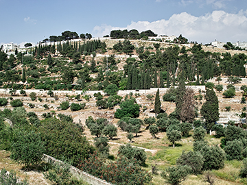 1.Jerusalem-2