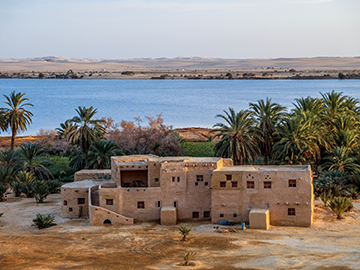 1.Siwa Oasis-1