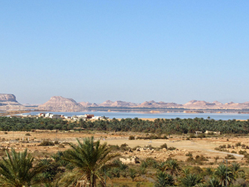 1.Siwa Oasis-2