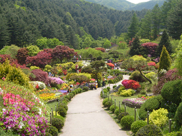 1.The Garden of Morning Calm-2
