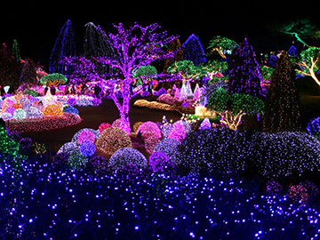 1.The Garden of Morning Calm-3