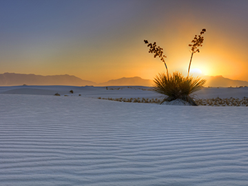 1.White-Sands-National-Monument-3