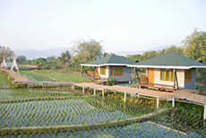 1.นอกชานมีนา-3