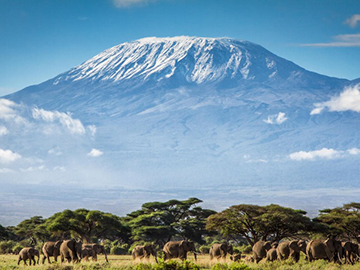 10.Kilimanjaro-2