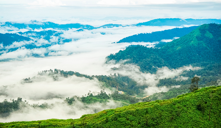 10.อุทยานแห่งชาติทองผาภูมิ-จ.กาญจนบุรี-1