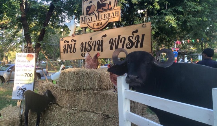 มินิมูร่าห์ฟาร์ม3