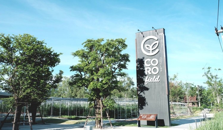 Coro Field