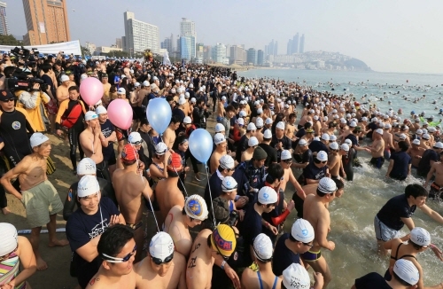 Haeundae Polar Bear Swim