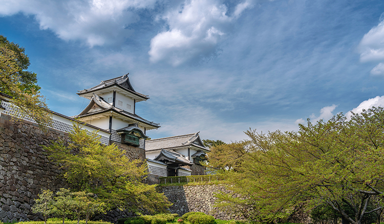 2-Ishikawa-2