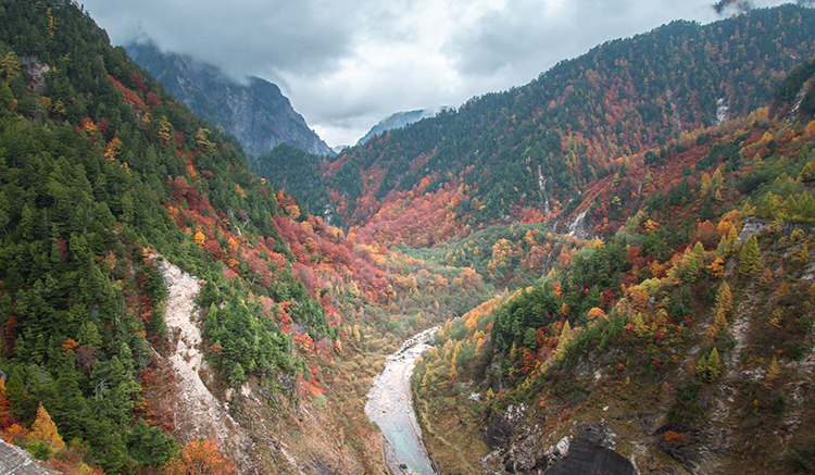 2-Toyama-2